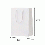 【紙袋】シャイニーバッグ XS170×85×230mm (10枚入り)