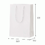 【紙袋】シャイニーバッグ S220×110×320mm (10枚入り)