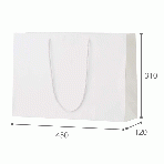 【紙袋】シャイニーバッグ LW450×120×310mm (10枚入り)