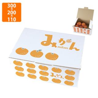 ◆ みかん ランドスケープ)みかんM 2号缶: 農産品 KANTO EXPRESS