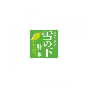 【シール】青果シール 雪の下野菜 25×25mm LZ683 (500枚入り)