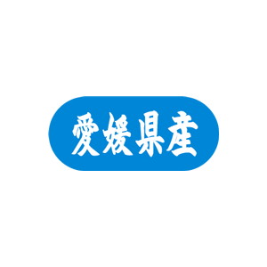 【シール】 愛媛県産 34×15mm LVM0038 (1500枚入り)