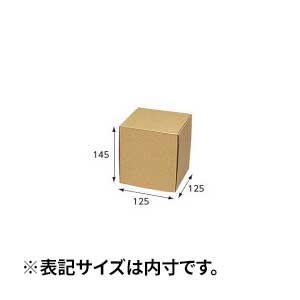 【箱】 ナチュラルボックス Z-28 CD10枚収納 125×125×145 (10枚入)