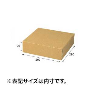 【箱】 ナチュラルボックス Z-5 290×290×90 (10枚入)
