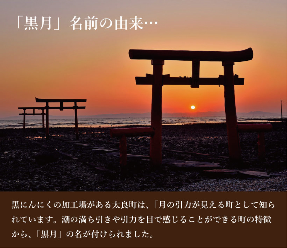 黒月の名前の由来です。黒にんにくの加工場がある多良町は、「月の引力が見える町」として知られています。潮の満ち引きや引力を目で感じることが出来る町の特徴から、「黒月」の名が付けられました。