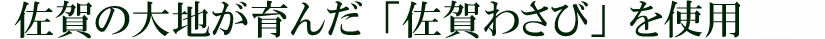 佐賀の大地が育んだ「佐賀わさび」を使用