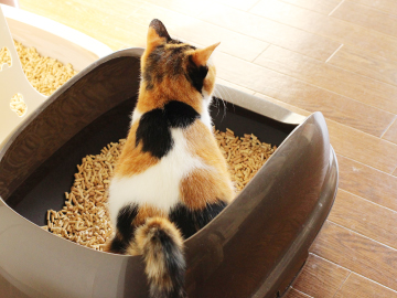 猫砂やペットシート
